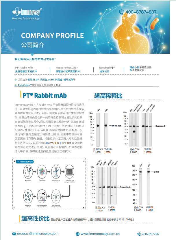 兔重组基因工程抗体PT&trade; Rabbit mAb、兔单抗单页2